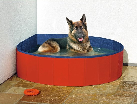 Dreamhigh Pool for Dogs, 160 x 30 cm, Collapsible, Non-Toxic Fabric, Splash and Non-Slip Bathtub for Dogs and Children, Outdoor and Indoor Swimming Pool
