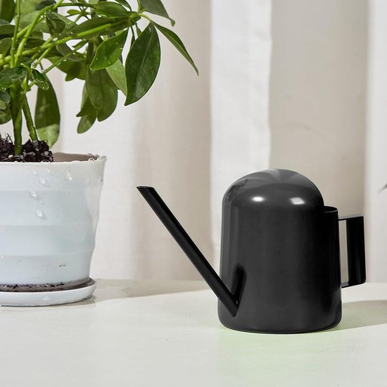 Mini Arrosoir Acier Inoxydable OFKPO - Pour Plantes Intérieur/Bureau - Design Élégant