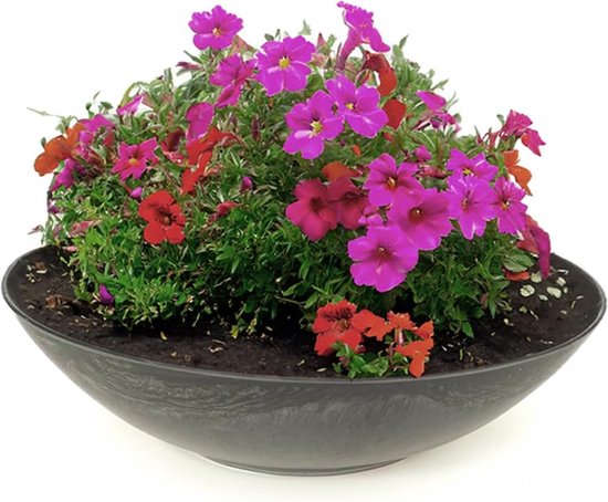 Fox&Fern Plantenpot, XL, grote bloempot, incl. waterafvoer, bloempot 34 cm, bloempot voor kamerplanten, diameter 38 cm, grote plantenpotten, bloempot zwart