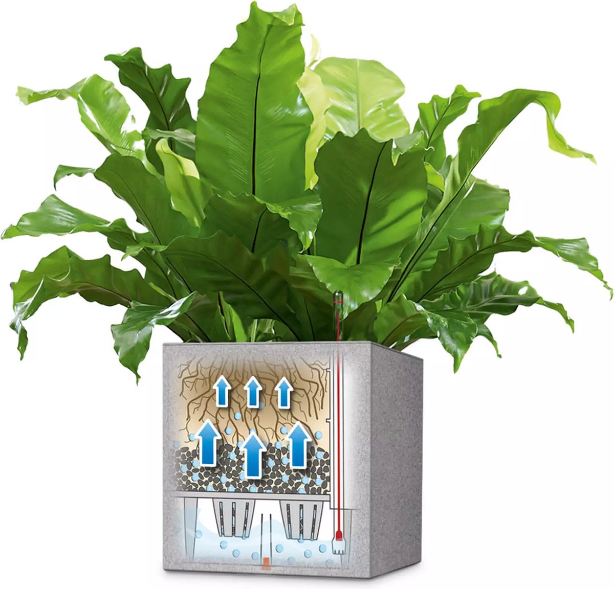 Lechuza Canto Stone 30 low - planter - with removable inner pot