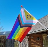 Sluster - Intersex progress vlag - 90x150 - Intersex progress flag - Intersekse progress vlag