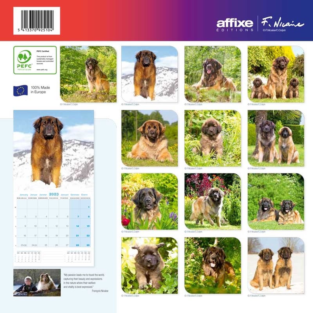 Leonberger Kalender 2024 bol