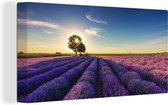 Canvas schilderij - Canvas bloemen - Lavendel - Bloemen - Boom - Zon - Landschap - Schilderijen op canvas - 160x80 cm - Foto op canvas - Wanddecoratie