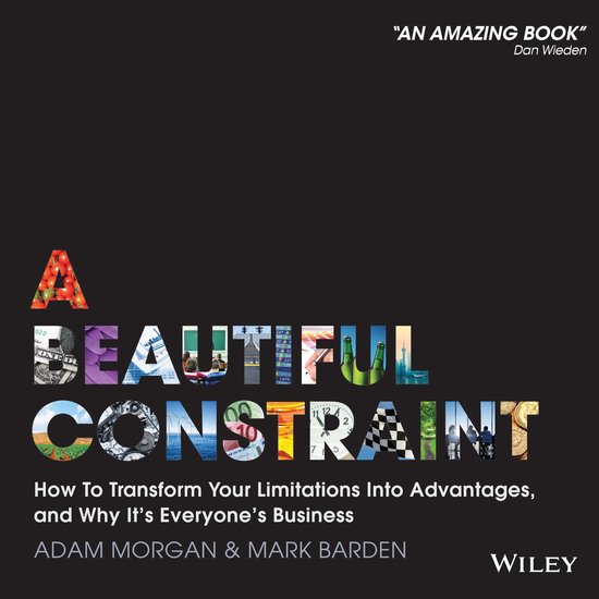 A Beautiful Constraint - cover