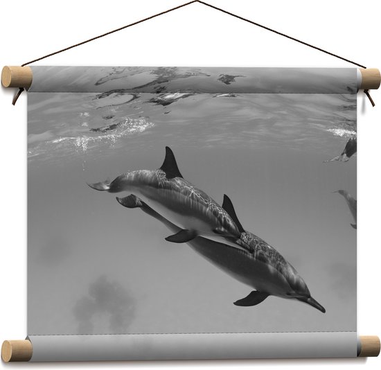 WallClassics - Textielposter - Dolfijnen onder Water Zwart / Wit - 40x30 cm Foto op Textiel