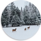 WallClassics - PVC Schuimplaat Muurcirkel - Herten Wandelend in de Sneeuw - 50x50 cm Foto op Muurcirkel (met ophangsysteem)