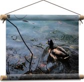 WallClassics - Textielposter - Eendje Zwemmend in het Water - 40x30 cm Foto op Textiel