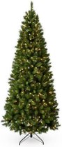 National Tree Company l Sapin de Noël artificiel LED l Canton l 31HCAN60L l H183 l LED l 300 lumières