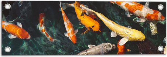 WallClassics - Tuinposter – Koi Karpers in het Water - 60x20 cm Foto op Tuinposter  (wanddecoratie voor buiten en binnen)