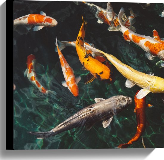 WallClassics - Canvas  - Koi Karpers in het Water - 40x40 cm Foto op Canvas Schilderij (Wanddecoratie op Canvas)