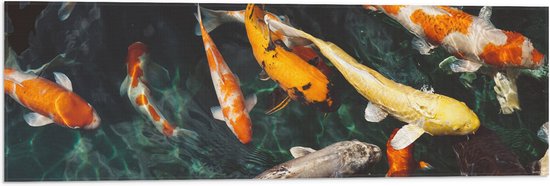 WallClassics - Vlag - Koi Karpers in het Water - 90x30 cm Foto op Polyester Vlag