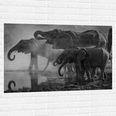 WallClassics - Muursticker - Olifanten aan een Meer Zwart / Wit - 120x80 cm Foto op Muursticker