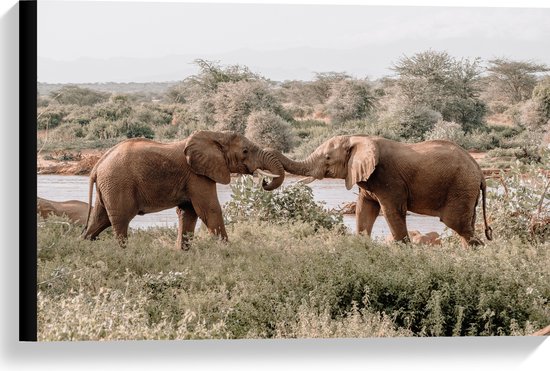 Deux éléphants d'Afrique se saluant dans un paysage de savane naturel près d'une rivière.