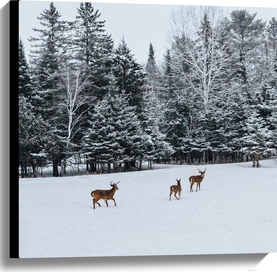 WallClassics - Canvas  - Herten Wandelend in de Sneeuw - 60x60 cm Foto op Canvas Schilderij (Wanddecoratie op Canvas)