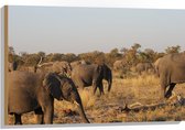 WallClassics - Hout - Kudde Afrikaanse Olifanten - 90x60 cm - 12 mm dik - Foto op Hout (Met Ophangsysteem)