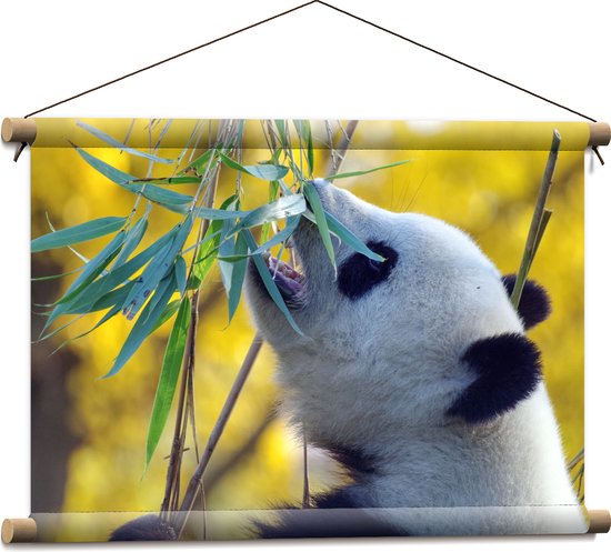 WallClassics - Affiche Textile - Panda qui mange - 60x40 cm Photo sur Textile