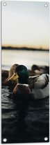 WallClassics - Affiche de jardin – Canards dans l' Water - 30x90 cm Photo sur affiche de jardin (décoration murale pour l'extérieur et l'intérieur)