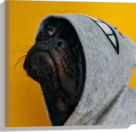 WallClassics - Hout - Gangster Mopshond met Vest - 50x50 cm - 12 mm dik - Foto op Hout (Met Ophangsysteem)