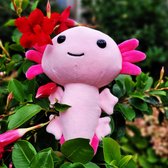 Axolotl Knuffel - Axolotl Plushy - 17cm - Roze