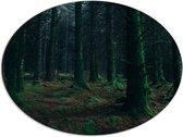 WallClassics - Dibond Ovaal - Donker Bos vol Groen Mos - 68x51 cm Foto op Ovaal (Met Ophangsysteem)