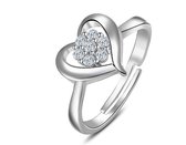 N3 Collecties 925 sterling zilveren hart met bloem CZ-ringen voor dames