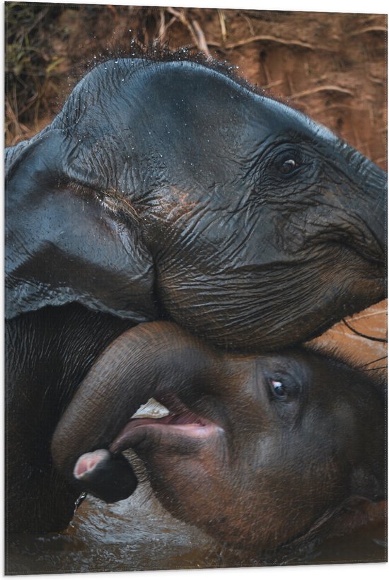 WallClassics - Drapeau - Éléphants heureux - 60x90 cm Photo sur Drapeau Polyester