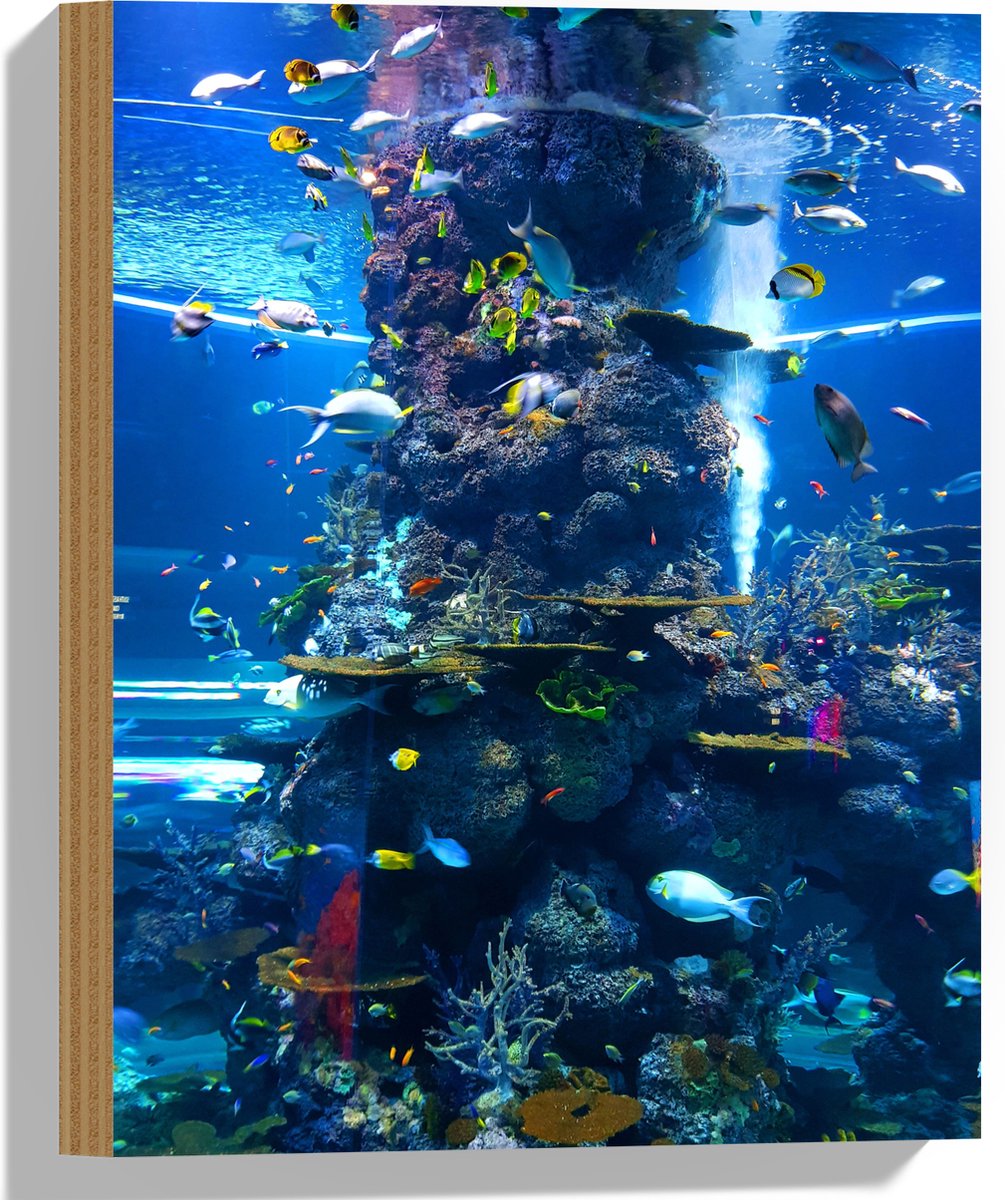 Hout - Prachtig Aquarium met mooie Vissen - 30x40 cm - 12 mm dik - Foto op Hout (Met Ophangsysteem)