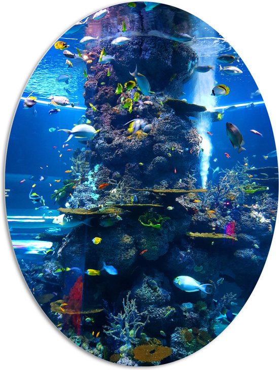WallClassics - PVC Schuimplaat Ovaal - Prachtig Aquarium met mooie Vissen - 72x96 cm Foto op Ovaal  (Met Ophangsysteem)