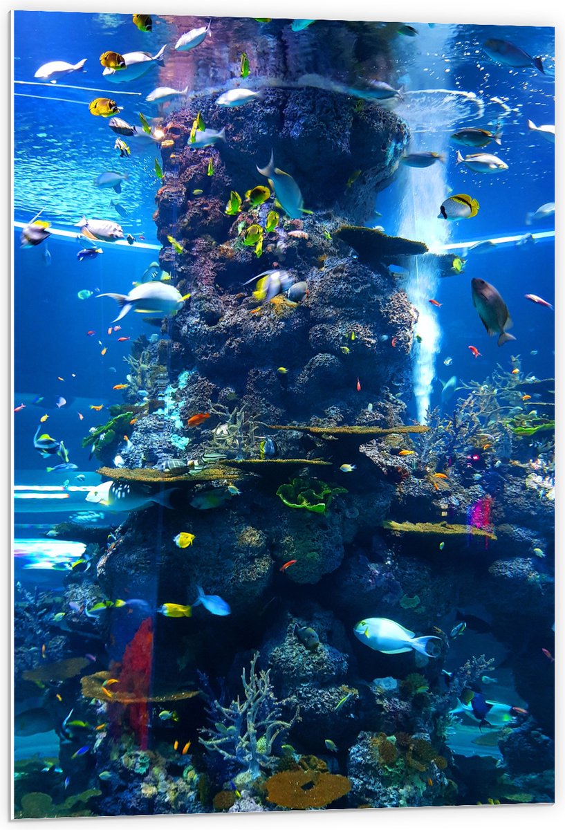 PVC Schuimplaat - Prachtig Aquarium met mooie Vissen - 60x90 cm Foto op PVC Schuimplaat (Met Ophangsysteem)
