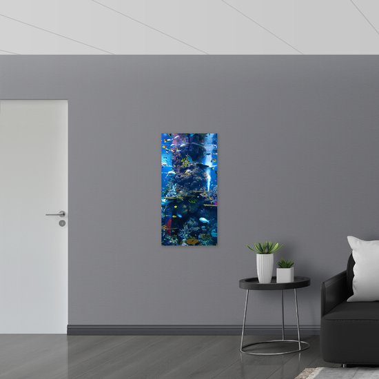 WallClassics - Plaque de Mousse PVC - Bel Aquarium avec de Beaux