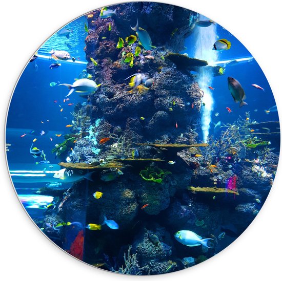 WallClassics - PVC Schuimplaat Muurcirkel - Prachtig Aquarium met mooie Vissen - 70x70 cm Foto op Muurcirkel (met ophangsysteem)