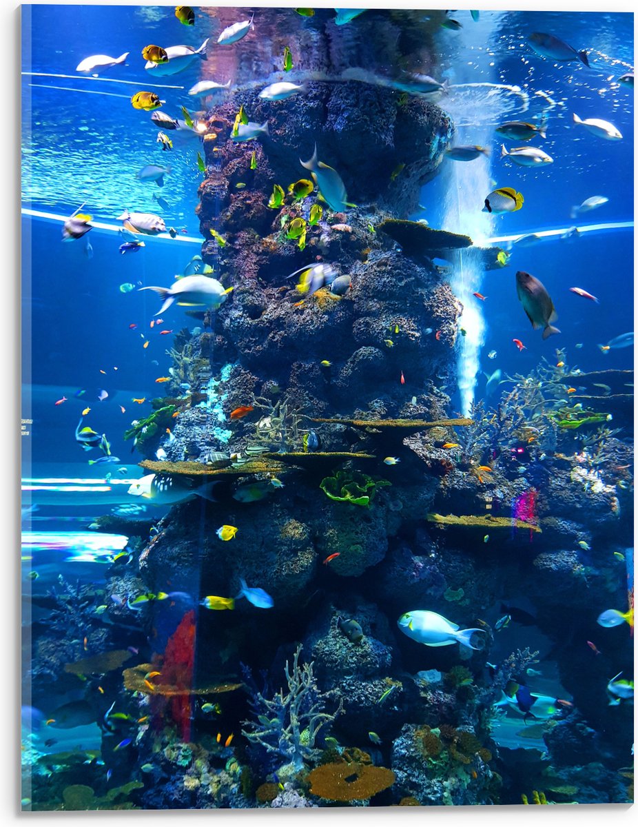 Acrylglas - Prachtig Aquarium met mooie Vissen - 30x40 cm Foto op Acrylglas (Wanddecoratie op Acrylaat)