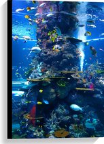 WallClassics - Canvas  - Prachtig Aquarium met mooie Vissen - 40x60 cm Foto op Canvas Schilderij (Wanddecoratie op Canvas)
