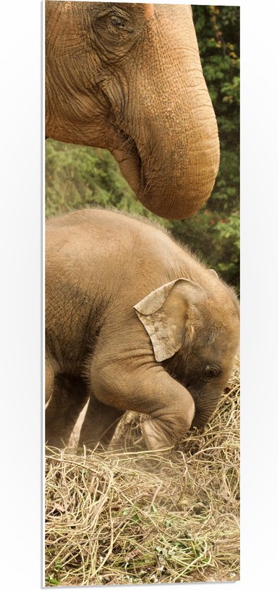 WallClassics - PVC Schuimplaat- Mama Olifant met Baby Olifantje - 30x90 cm Foto op PVC Schuimplaat