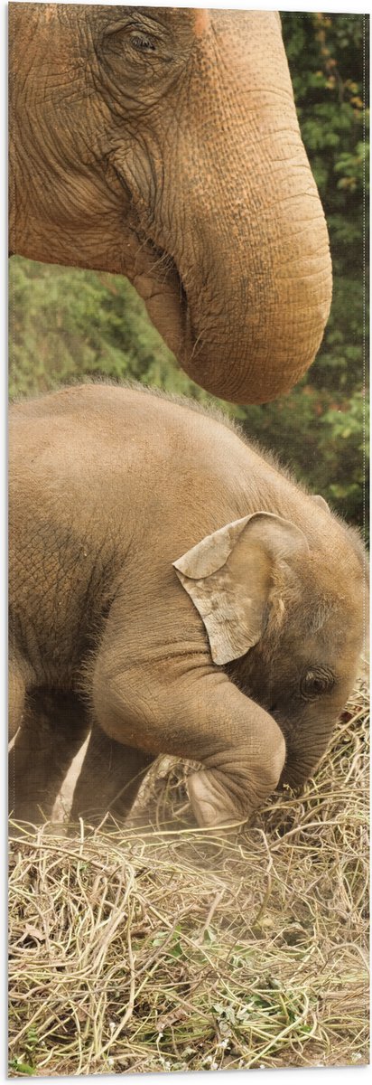 Vlag - Mama Olifant met Baby Olifantje - 30x90 cm Foto op Polyester Vlag
