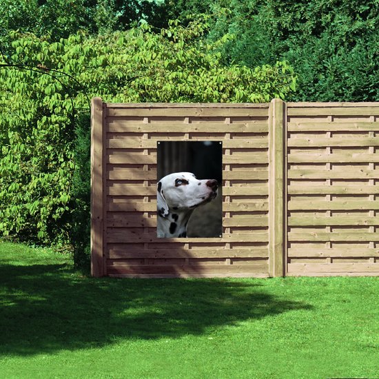 WallClassics - Poster de Jardin - Chien Dalmatien aux Yeux Bleus - 70x105 cm Photo sur Poster de Jardin (décoration murale pour l'extérieur et l'intérieur)
