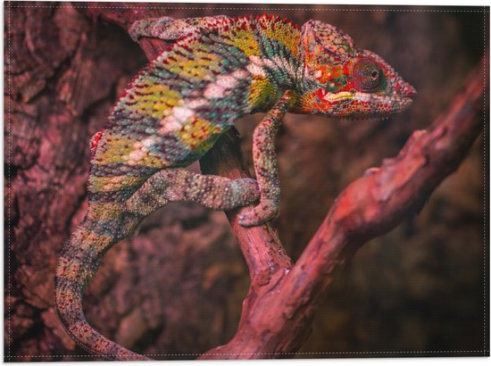 WallClassics - Vlag - Kameleon op een Rood / Bruine Boom - 40x30 cm Foto op Polyester Vlag