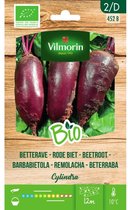 Vilmorin- Rode Biet BIO -V452B
