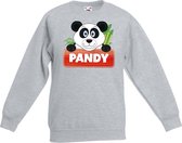 Pandy de panda sweater grijs voor kinderen - unisex - pandabeer trui - kinderkleding / kleding 152/164