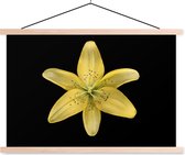 Posterhanger incl. Poster 90x60 cm - Schoolplaat - Een gele leliebloem over zwarte achtergrond - Textielposter - Blanke latten