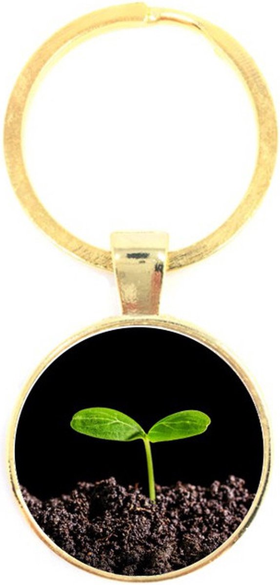 Sleutelhanger Glas - Plantje
