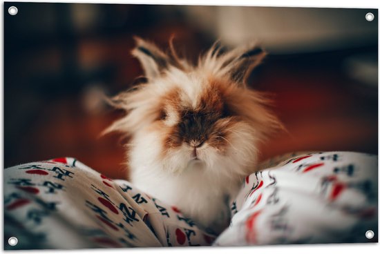 Tuinposter – Schattig Konijntje op Schoot - 90x60 cm Foto op Tuinposter (wanddecoratie voor buiten en binnen)