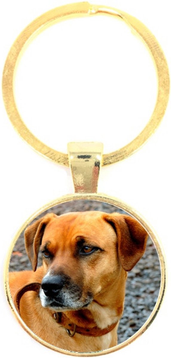 Sleutelhanger Glas - Hond