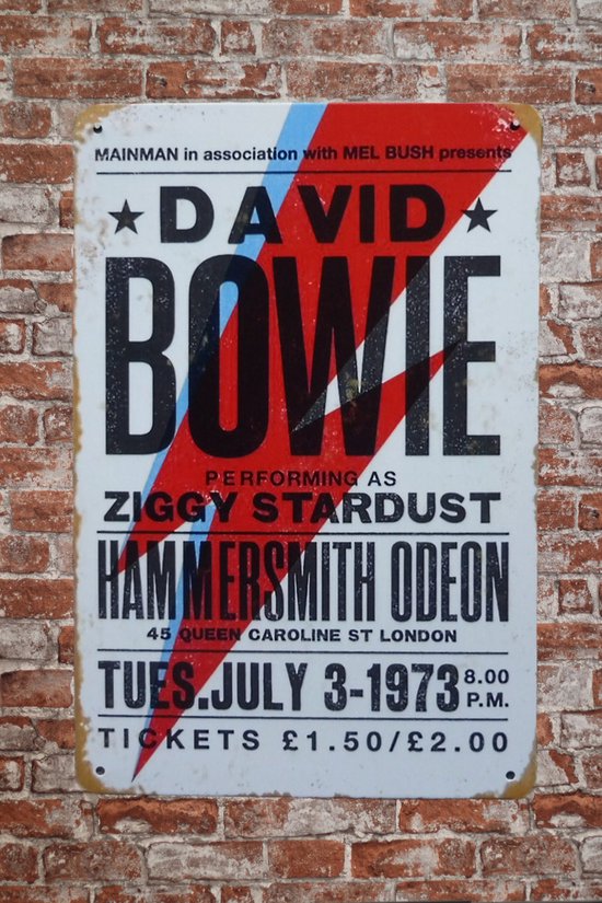 Wandbord - David Bowie - Metalen wandbord - Mancave - Mancave decoratie - Retro - Metalen borden - Metal sign - Bar decoratie - Tekst bord - Wandborden – Bar - Wand Decoratie - Metalen bord - UV be