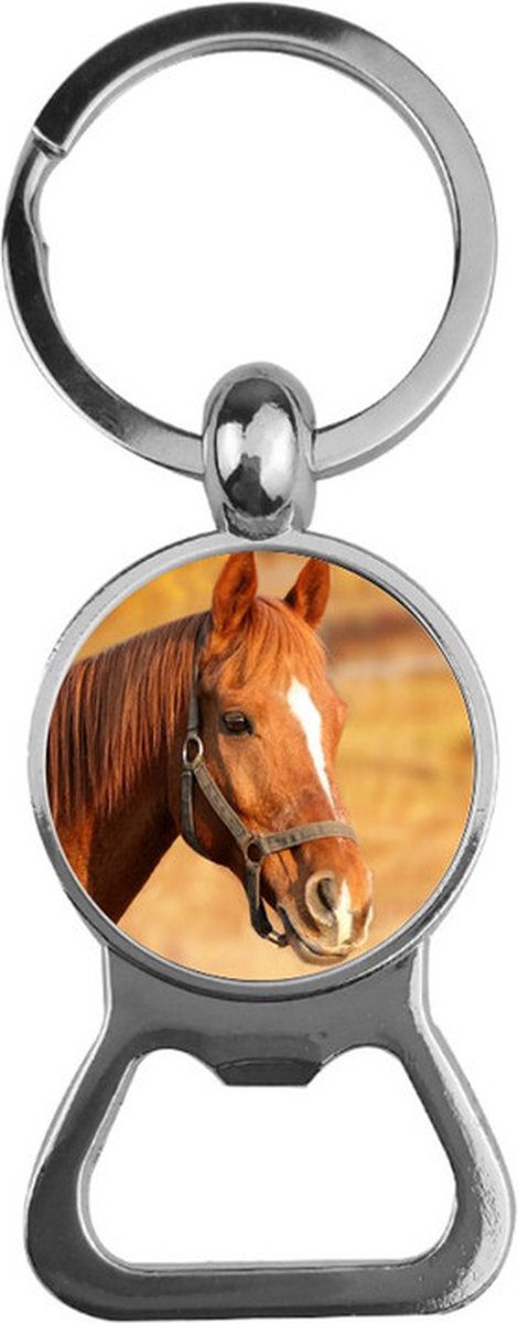 Bieropener Glas - Paard