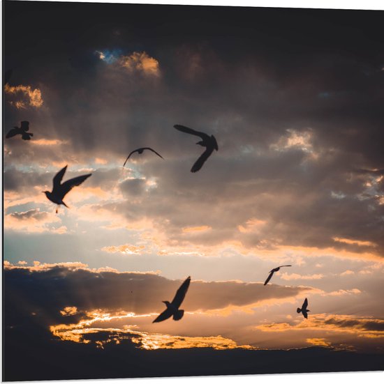 WallClassics - Dibond - Vogels in de Lucht bij Zonsondergang - 80x80 cm Foto op Aluminium (Met Ophangsysteem)