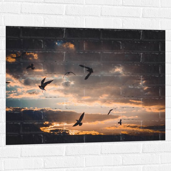 WallClassics - Muursticker - Vogels in de Lucht bij Zonsondergang - 100x75 cm Foto op Muursticker