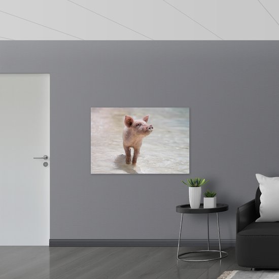 WallClassics - Muursticker - Porcinet sur la plage - 120x80 cm Photo sur Muursticker