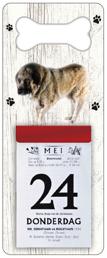 dodelijk zij is diefstal Scheurkalender 2023 Hond: Kaukasische Aucharka | bol.com