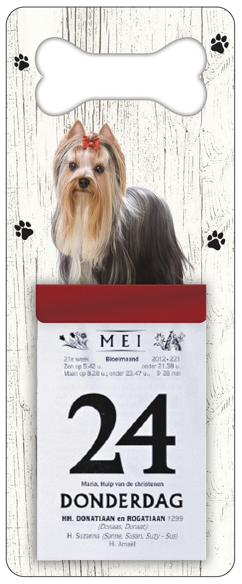 Scheurkalender 2026 Hond: York